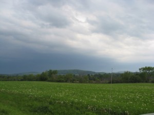 img_1632 img_1632